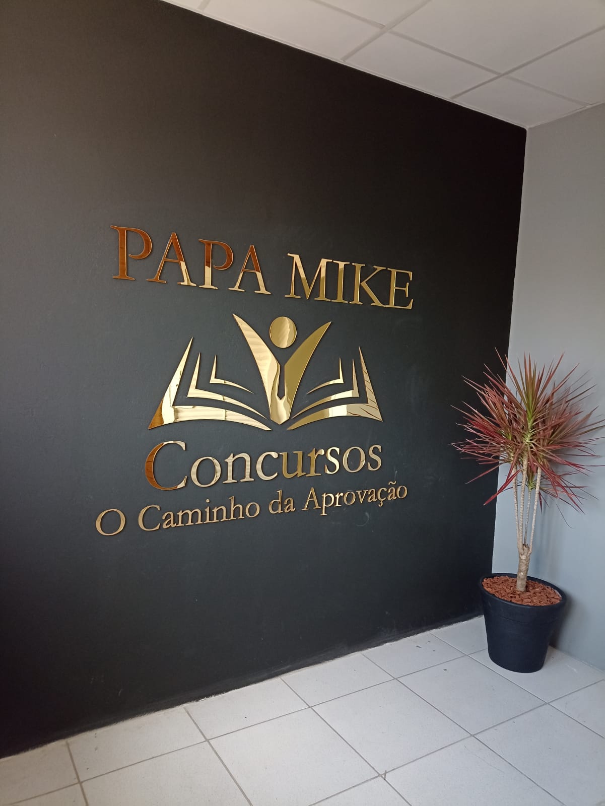 curso na área da educação – Papa Mike